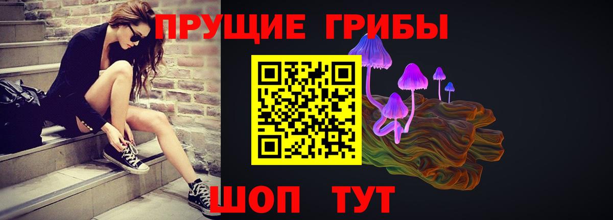Галлюциногенные грибы Psilocybe Нарткала